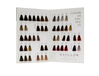 Carta de colores permanentes Dayglow